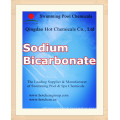 Bicarbonate de sodium de catégorie industrielle pour les produits chimiques n ° CAS 144-55-8 de piscine (bicarbonate de soude)